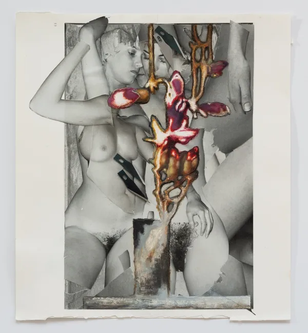 Justine Kurland Magnolias and Damsel Fly Nymphs, from the series Bad Hand, 2025-2026 Unique painted photographic collage 25x28cm.