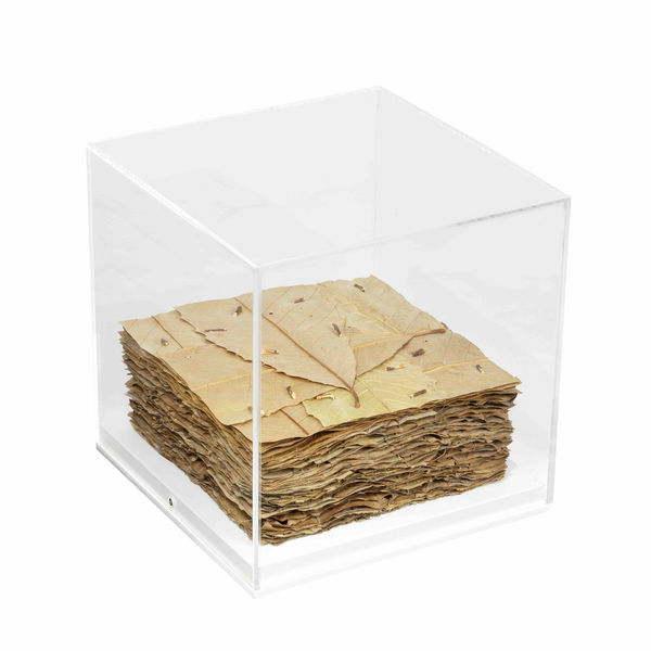 Andy Goldsworthy, Sweet chestnut leaves, Blackthorns, Dumfriesshire, Scotland, 2016, 2016