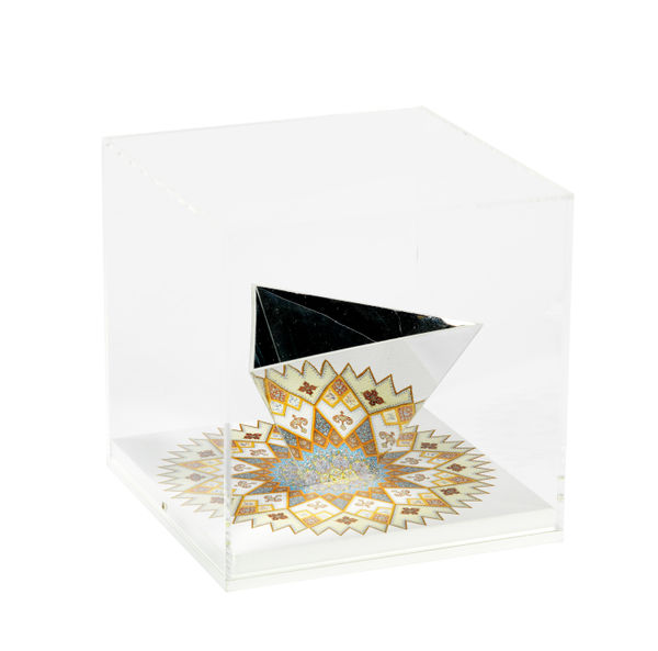 Ben Johnson, Reflection on Fin Gardens, 2018