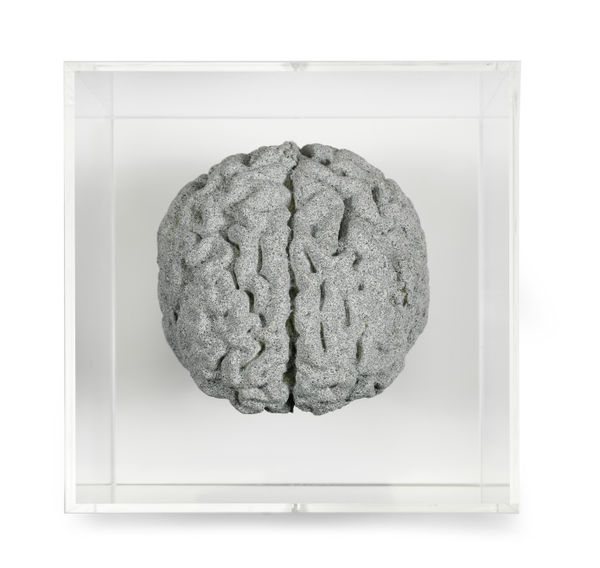 Angela Palmer, Grey Matter: Brain of Artist, 2018