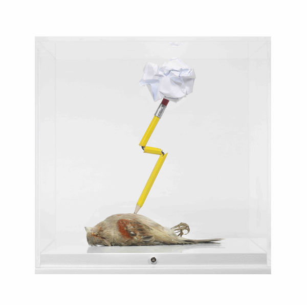 Polly Morgan, Something like this, 2016