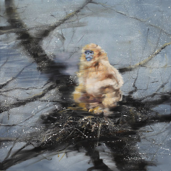 Tianbing Li, Golden Monkey On The Snow Tree, 2019