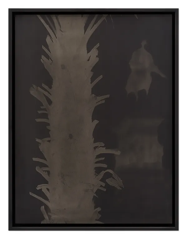 Mehdi-Georges Lahlou, Nature Morte , 2024