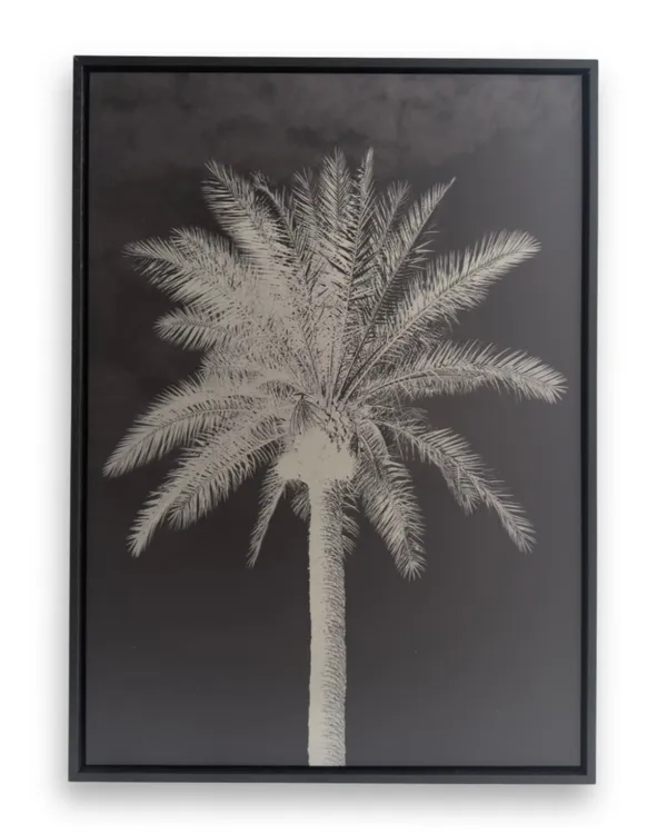 Mehdi-Georges Lahlou, Still Life, 2026