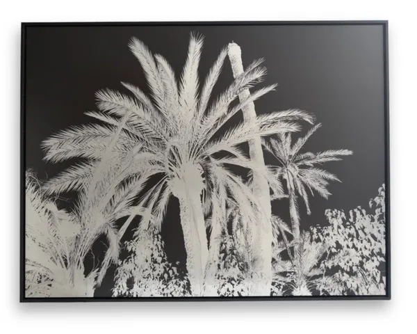 Mehdi-Georges Lahlou, Still Life, 2026