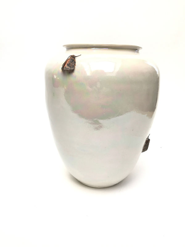 Mary O’Malley, Moth Vase, 2017