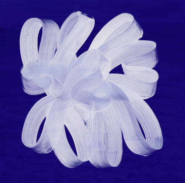 Najia Mehadji, Rosebud, 2025