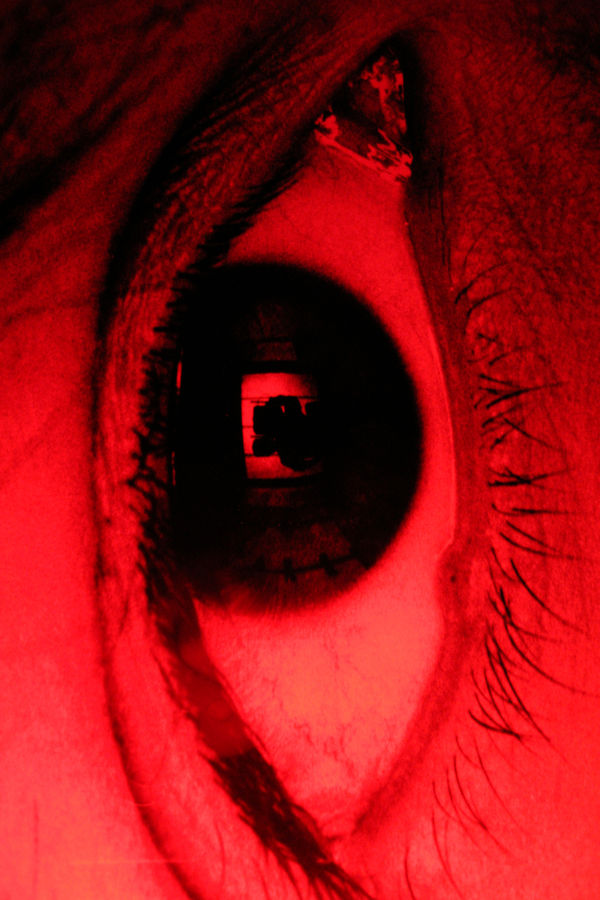 Mohamed El baz, Bricoler l'incurable.Détails. Le Borgne, 2015