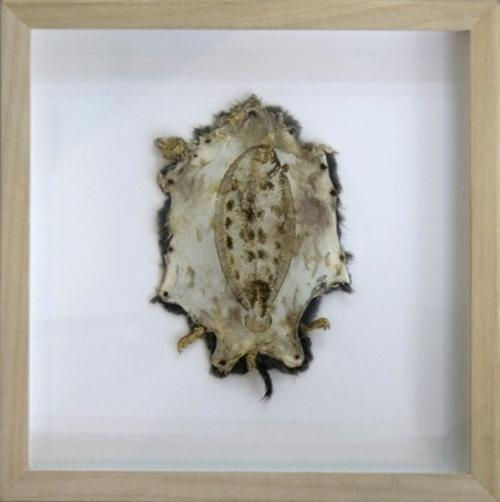 Christian Gonzenbach Untitled 25 cm x 25 cm