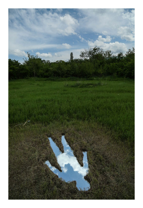 Saman & Sasan Oskouei Nature's Reflection, 2017 Giclée print on Mosab Lasal photo Matte 230 gsm 76 x 51 cm 29 7/8 x 20 1/8 in Edition of 3