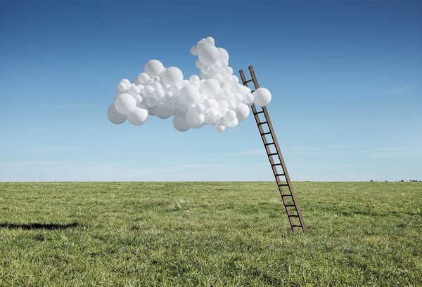 Charles Petillon, Point de Vue (small), 2018