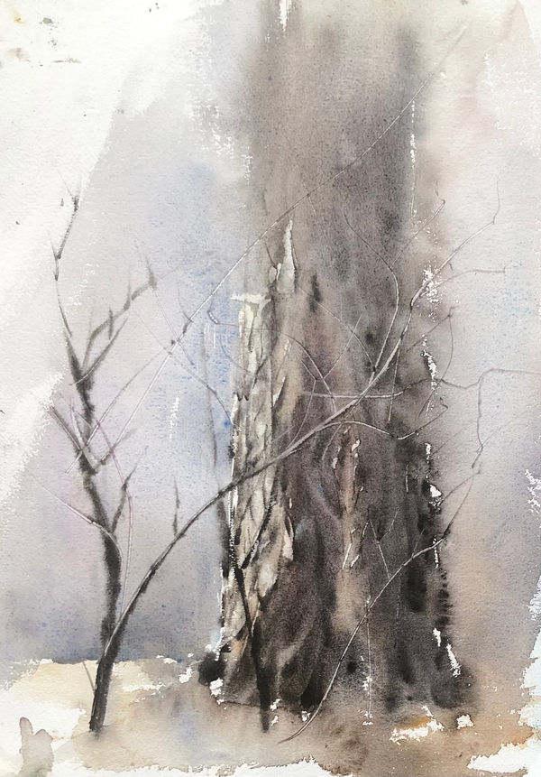 Prasad Beaven, Soft Tree portrait, 2021