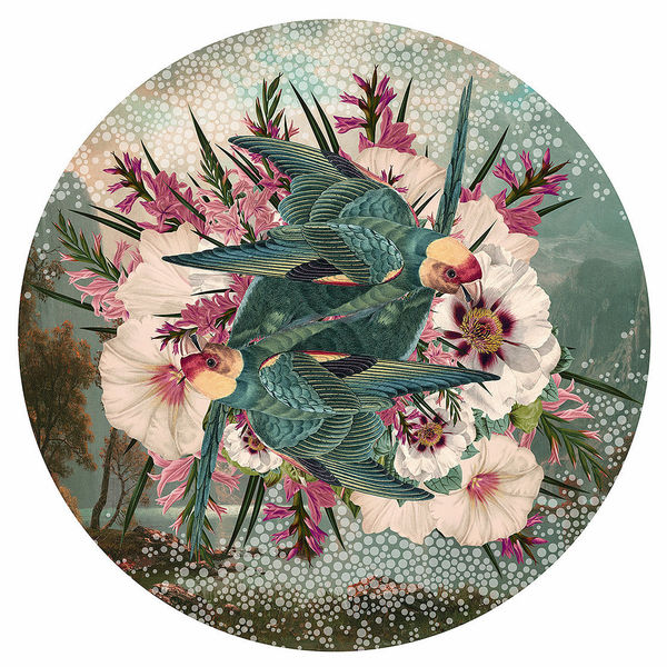 Alexandra Gallagher, Mirrored Euphoria