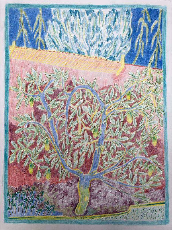 Charlotte Johnston, Lemon Tree and the Sugar Cane