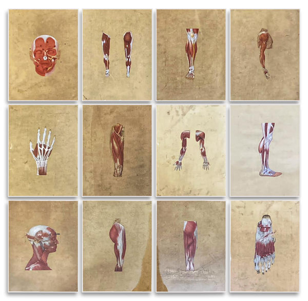 Abbas Shahsavar and Maryam Ayeen, Do You Feel The Pain?, 2023