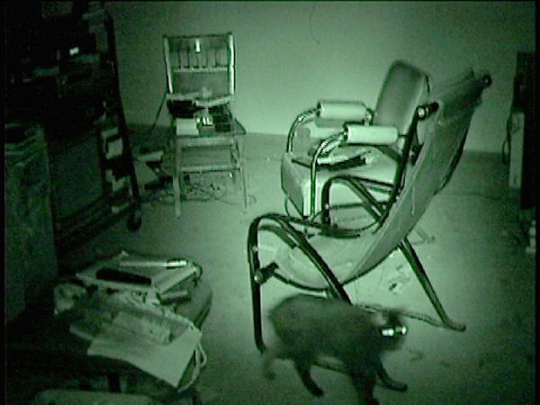 Bruce Nauman Sound for Mapping the Studio Model (The Video) DVD (color, sound) 1 hour, 1 minute, 20 seconds edition 6/6