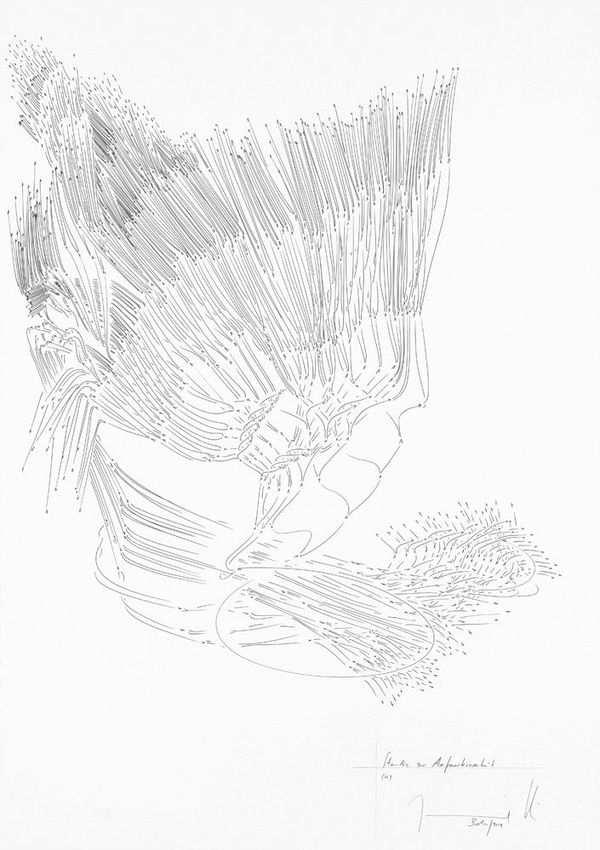 Jorinde Voigt Studie zur Aufmerksamkeit 4, 2014 ink and graphite on paper 20 1/16 x 14 3/16 in (51 x 36 cm)