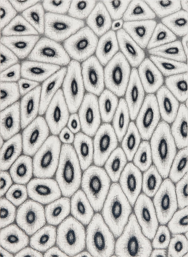 Alexander Ross Untitled, 2010 graphite and crayon on paper 30 x 22 1/8 inches 76.2 x 56.2 cm