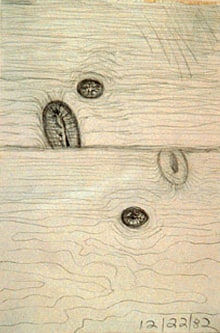 Carroll Dunham Untitled, 1982 pencil on paper 8 1/4 x 5 1/3 inches 21 x 13.5 cm