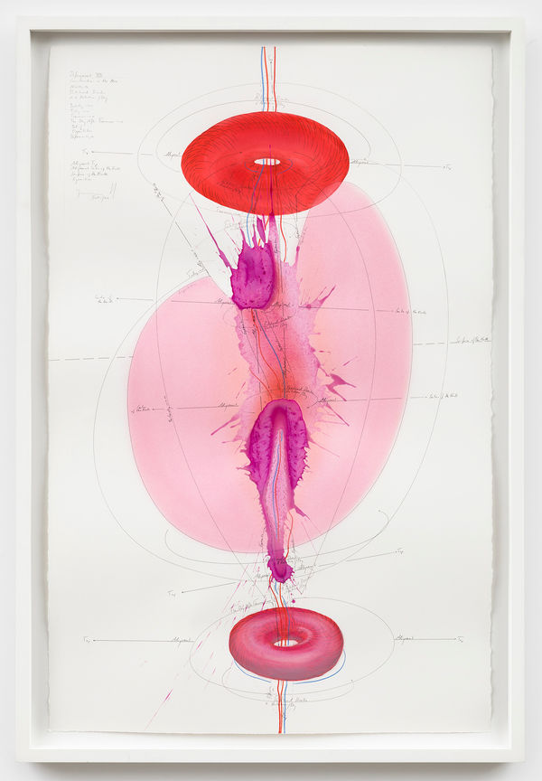 Jorinde Voigt Defragment XIII - Considerations in the Now, 2016 ink, indian ink, crayon, pastel, pencil on paper 40 1/4 x 26 in (102 x 66 cm)