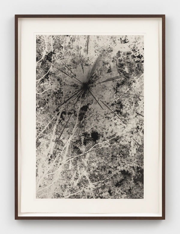 David Hartt Black Sun, 2021 photogravure image: 26 1/4 x 17 3/8 in (66.7 x 44.1 cm) sheet: 30 3/4 x 22 1/8 in (78.1 x 56.2 cm) Edition of 10 plus 1 artist's proof