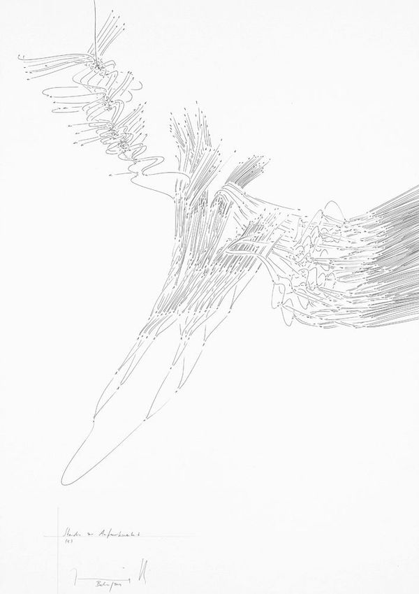 Jorinde Voigt Studie zur Aufmerksamkeit 5, 2014 ink and graphite on paper 20 1/16 x 14 3/16 in (51 x 36 cm)