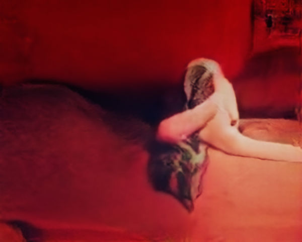 Trevor Paglen Porn (Corpus: The Humans) Adversarially Evolved Hallucination, 2017 dye sublimation metal print image: 48 x 60 in (121.9 x 152.4 cm) framed: 49 5/8 x 61 1/2 in (126 x 156.2 cm) Edition of 5, with 1 AP