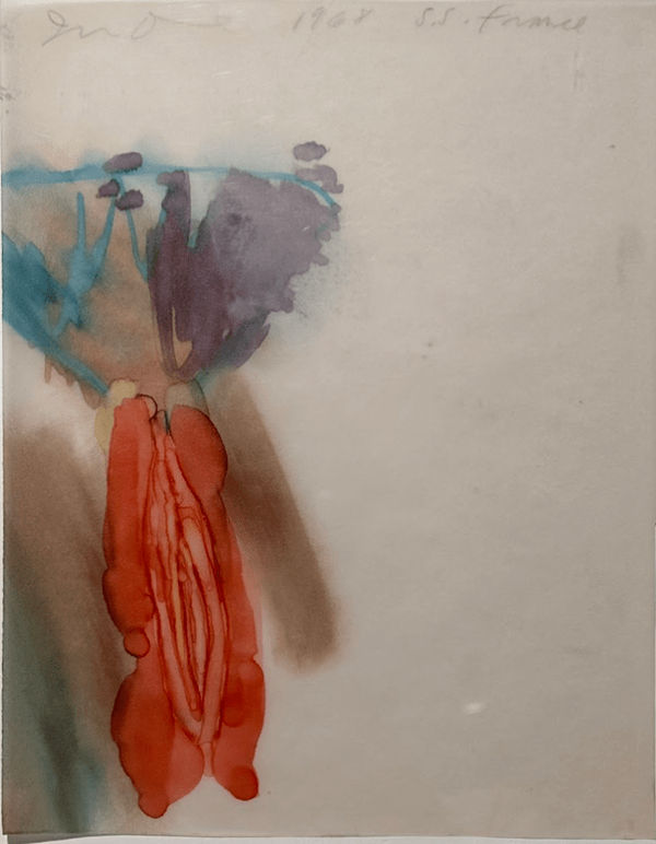 Jim Dine, Untitled (Carrot), 1968