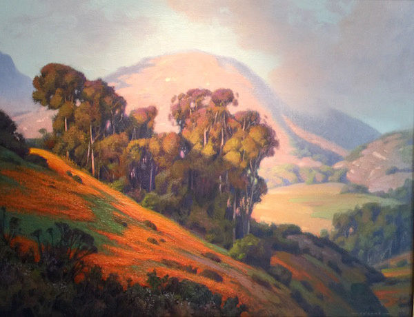 Poppies & Eucalyptus