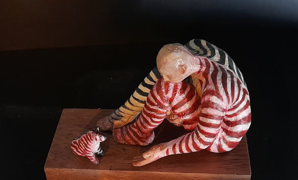 Derry Messum, Companion Animals