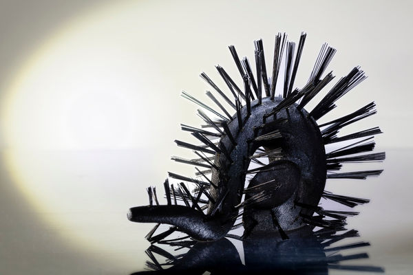 Kate Stehr, Phyllodocida III