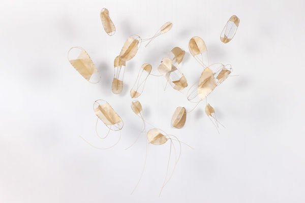 Alison Coates, Plankton #1-17, 2024