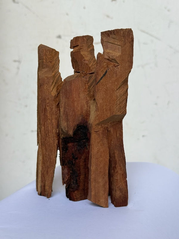 Michael Snape, A Future Sculpture