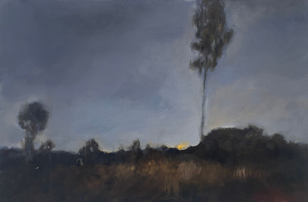 Nicolette Eisdell, Sunrise at the Camp, 2024