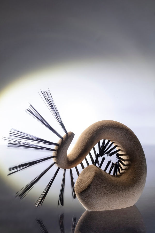 Kate Stehr, Phyllodocida II