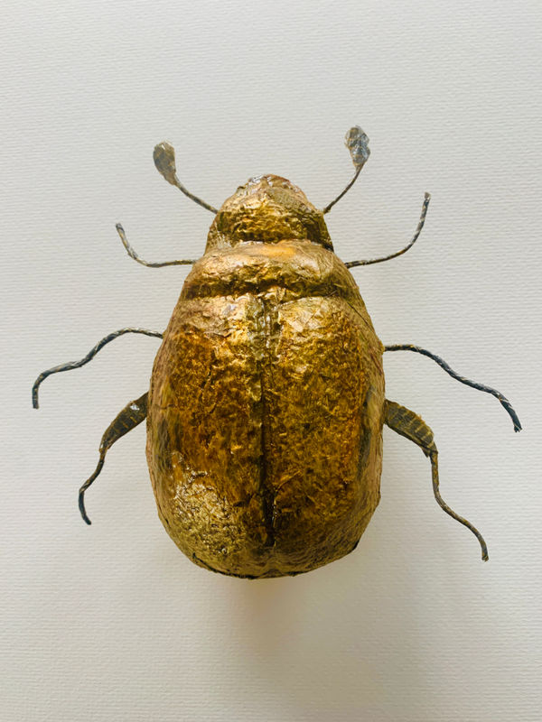 Marguerite Derricourt, Christmas Beetle I