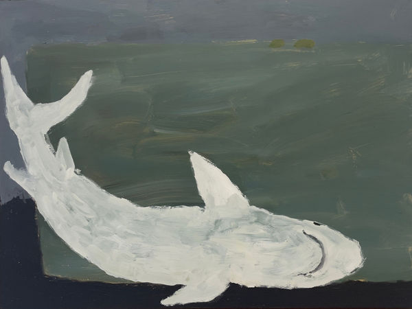 Peter Stevens, Shark Study, 2023