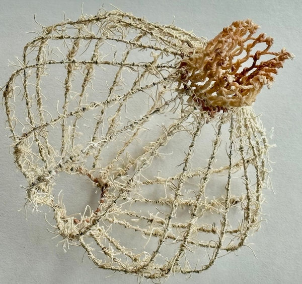 Alison Coates, Onshore