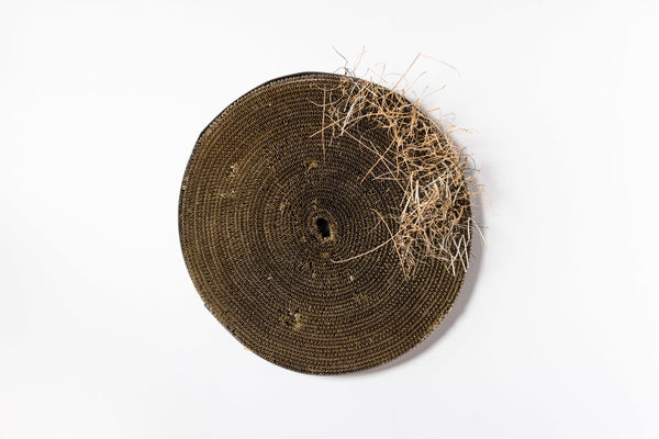 Alison Coates, Epicentre, 2024