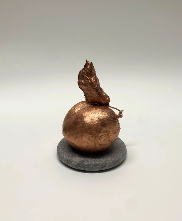 Datsun Tran, Immortal Peach