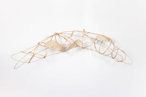 Alison Coates, Carapace, 2024