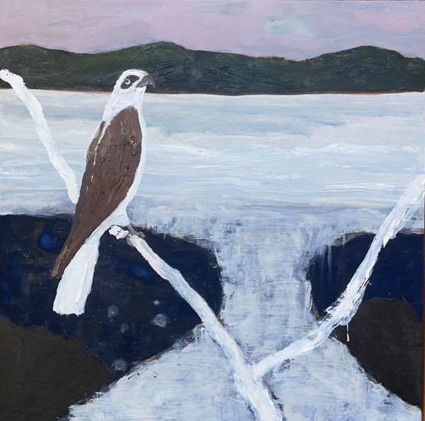 Peter Stevens, Osprey - Estuary, 2024