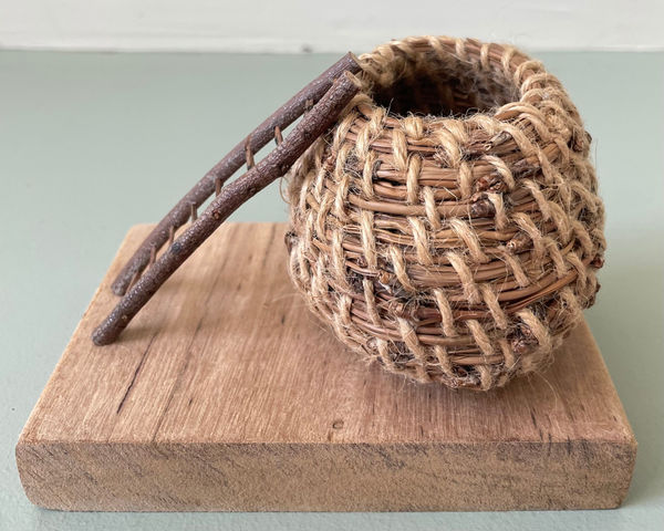 Paula Broom, Perched