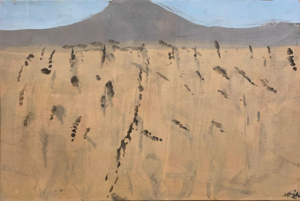 Joe Furlonger, Giraween National Park (Winter Frost), 2024