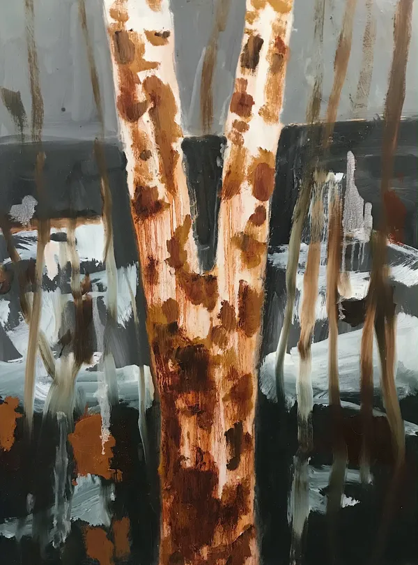 Peter Stevens, Eucalyptus II, 2026