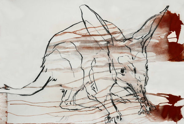 Sophie Cape, The Bilby Emerges, a Desert Queen, 2025