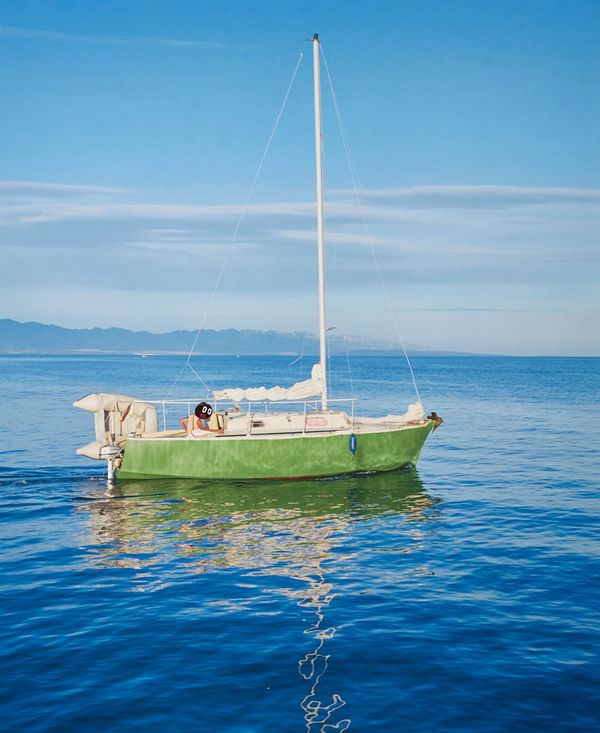 Boris Hoppek, Bimbo photo #9, 2017