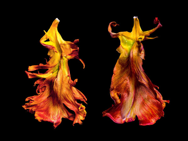 Rob Munday, Entropy's Dance [Dueto], 2022