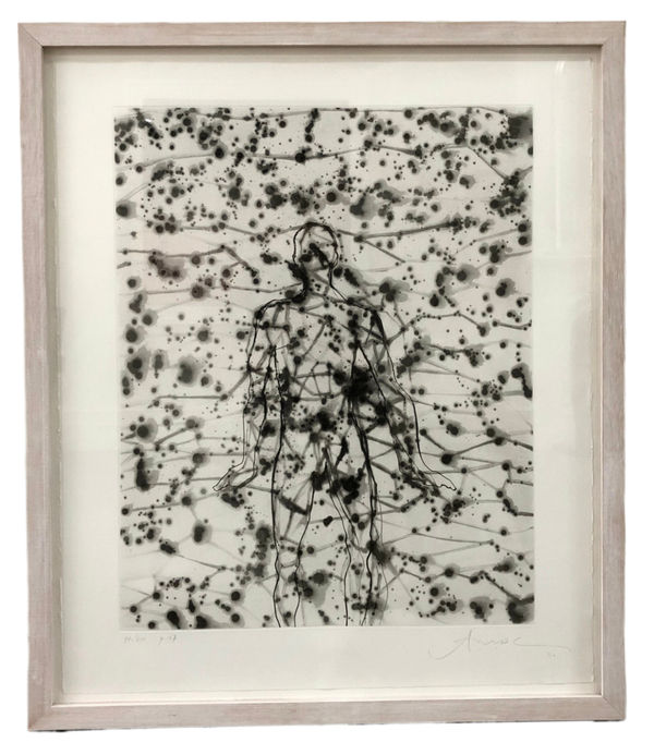 Antony Gormley, Domain, 2000