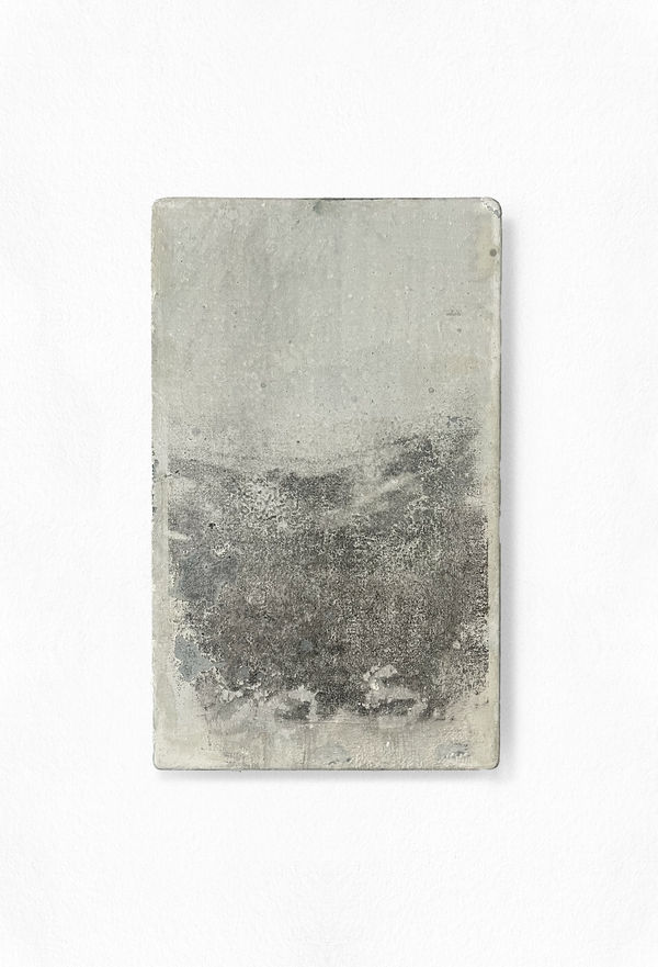 Penelope Deltour, Echo 088, 2025